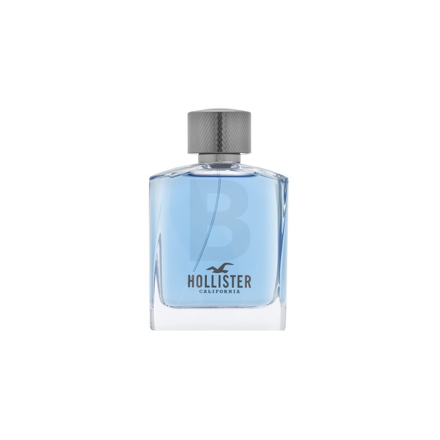 Hollister Wave For Him eau de toilette spray 100ml – 4