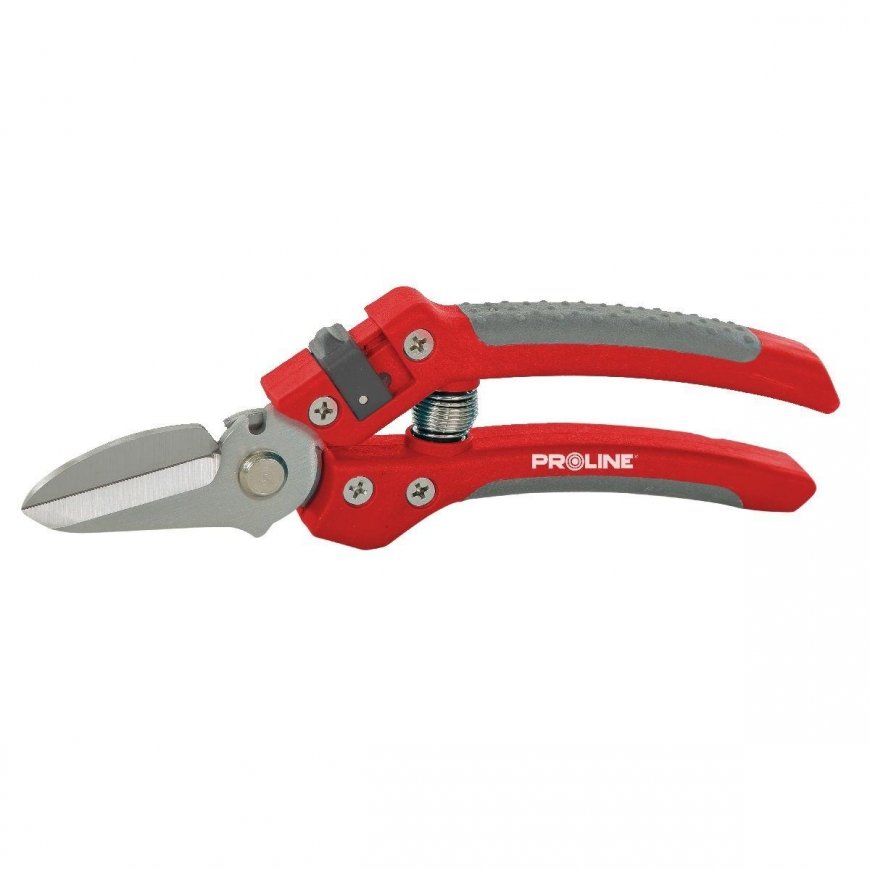 Proline Pro-Line scissors PREMIUM FLOWER, INOX