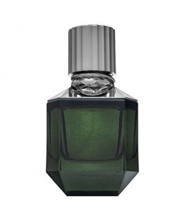 Roberto Cavalli Paradise Found Eau de Toilette for men 50 ml