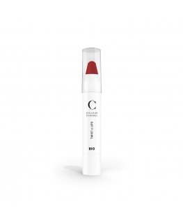 Couleur Caramel Twist y Lips Barra De Labios 405 Matt Raudona 1un