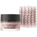 DR SEBAGH Breakout Kremas kremas riebiai odai 50ml + Breakout Powder pudra 5x1,95g