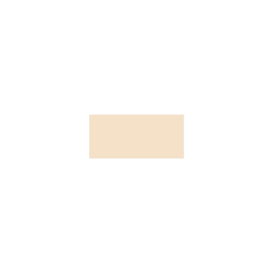 Pola Cosmetics Smooth Camouflage Concealer - Liquid concealer 5 ml