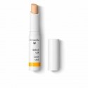 Maskuojamoji priemonė Dr. Hauschka 02-Sand 1,9g Maskuojamoji priemonė Dr. Hauschka 02-Sand 1,9g
