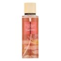 Victoria's Secret Temptation 2019 BOR W 250 ml Victoria's Secret Temptation 2019 BOR W 250 ml