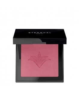 Stendhal Illuminating Blush 303 Rose Marrakech 5.5g