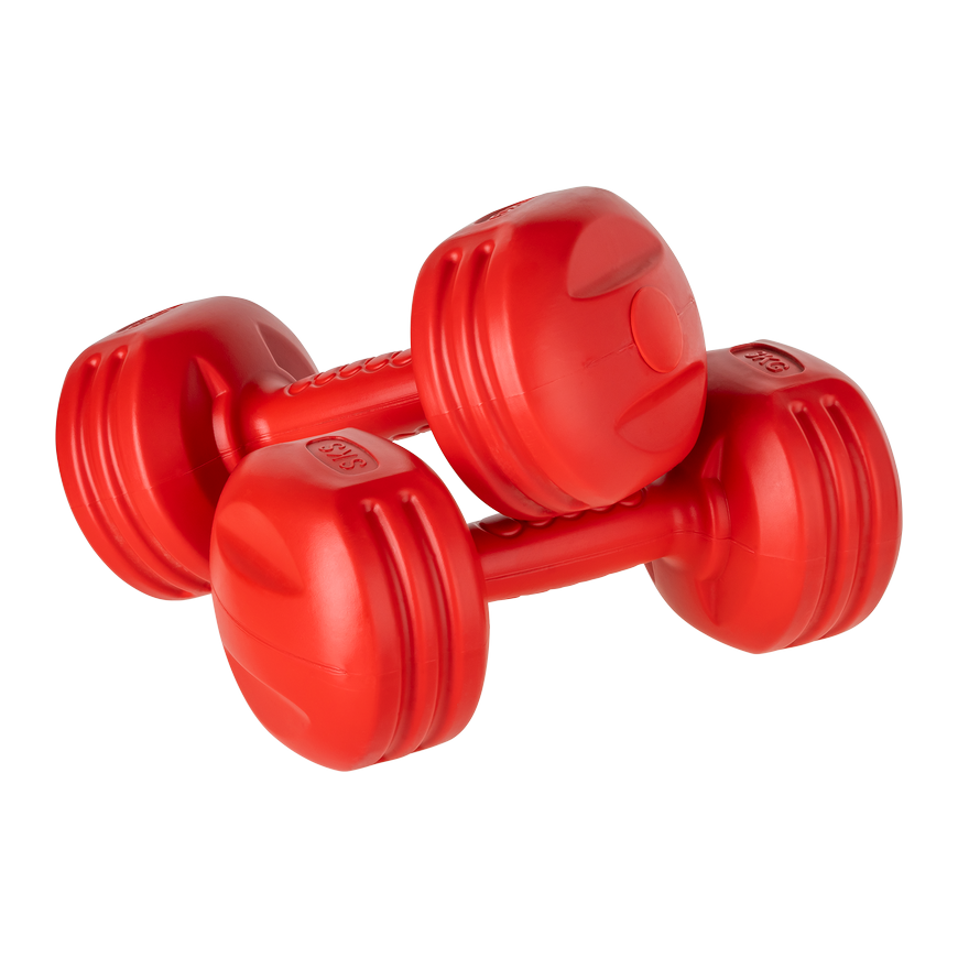 Bituminous dumbbells 2x3kg, REBEL ACTIVE – 2