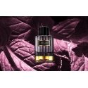 Carolina Herrera Nightfall Patchouli EDP U 100 ml