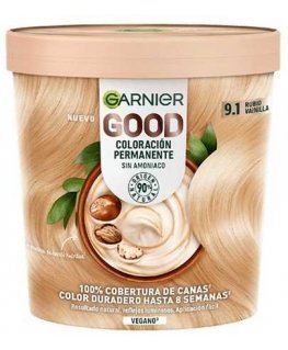 "Garnier" ilgalaikiai plaukų dažai 9,1 Vanilinė šviesiaplaukė 1 vnt