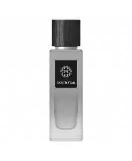 Men's perfume EDP The Woods Collection 100 ml Natural North Star