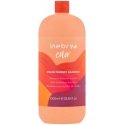 Inebrya Color Perfect Šampūnas šampūnas dažytiems plaukams 1000ml Inebrya Color Perfect Šampūnas šampūnas dažytiems plaukams 1000ml