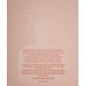 Moterų kvepalai Vince Camuto EDP Bella 100 ml Moterų kvepalai Vince Camuto EDP Bella 100 ml