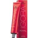 Schwarzkopf Igora Royal 6-4 60ml Schwarzkopf Igora Royal 6-4 60ml