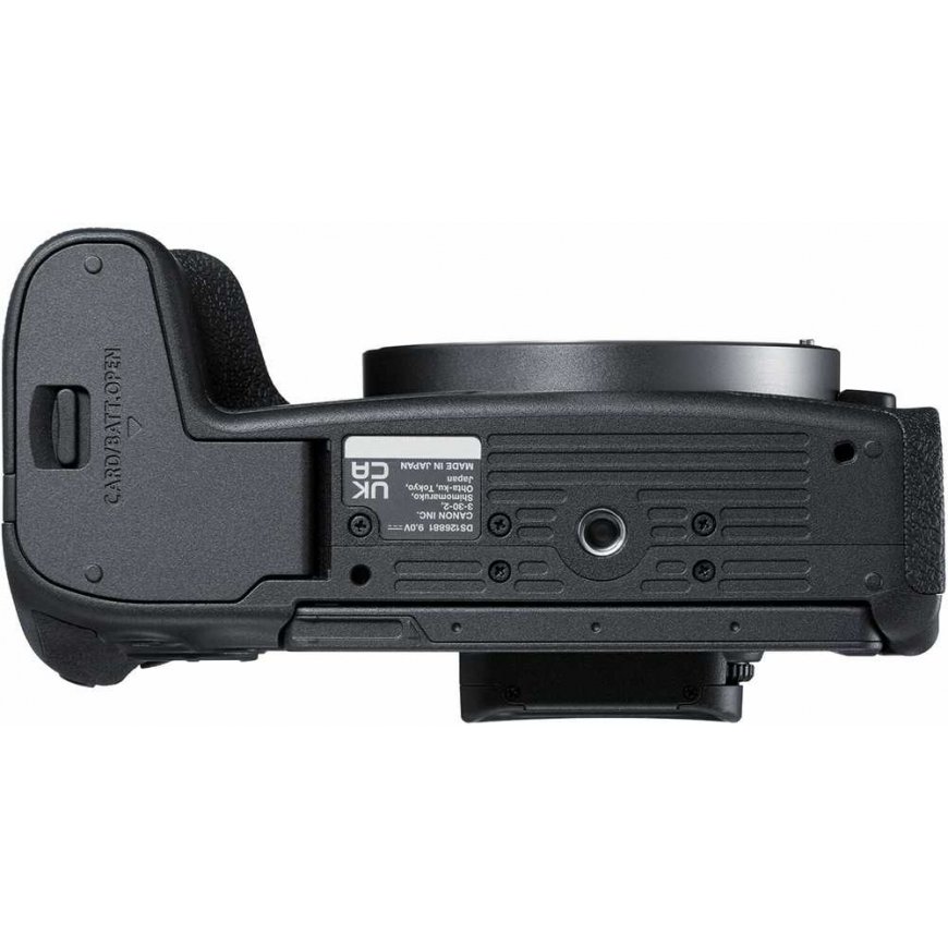 Canon EOS R8 + RF 24-240mm f/4-6.3 IS USM + Mount Adapteris EF-EOS R – 2