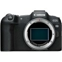 Canon EOS R8 + RF 24-240mm f/4-6.3 IS USM + Mount Adapter EF-EOS R Canon EOS R8 + RF 24-240mm f/4-6.3 IS USM + Mount Adapter EF-EOS R