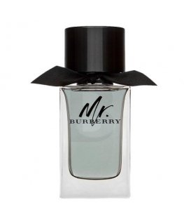 Burberry Mr. Burberry Eau de Toilette for men 100 ml