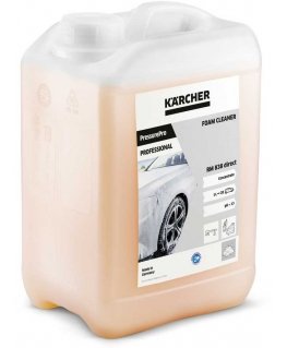 Karcher automobilių valiklis PressurePro Professional RM 838 direct 3 l