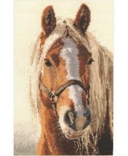 Beldizart Adel S1-17
