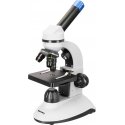 Discovery Nano Polar digital microscope Discovery Nano Polar digital microscope