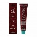 Schwarzkopf Igora Royal long-lasting hair dye 60 ml
