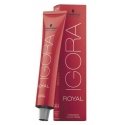 Schwarzkopf Igora Royal long-lasting hair dye 60 ml