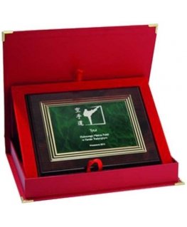 Tryumf Plastic diploma with engraving on a gold plate + CASE