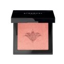 Stendhal Illuminating Blush 300 Rose Jaipur 5.5g Stendhal Illuminating Blush 300 Rose Jaipur 5.5g