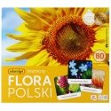Adamig's Polish flora memory game