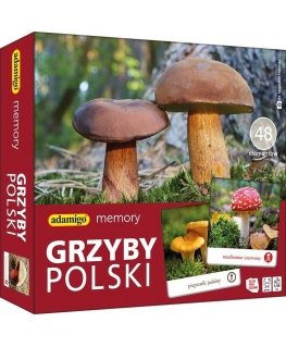 Adamigo Memory game - Polish mushrooms