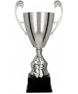 Detail Silver metal cup TM