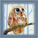Beldizart Deimantų tapybos rinkinys "Owlet" 15*15 cm AM1550 Beldizart Deimantų tapybos rinkinys "Owlet" 15*15 cm AM1550