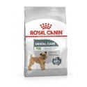 Royal Canin Mini Dental Care 3 kg Suaugusių Paukštiena