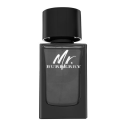Burberry Mr. Burberry EDP 100 ml