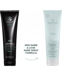 Paul Mitchell Awapuhi (Wild Ginger Moisturizing Lather Shampoo)