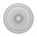 PopSockets PlantCore