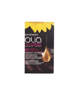 Garnier Olia permanent coloring 4.0 brown