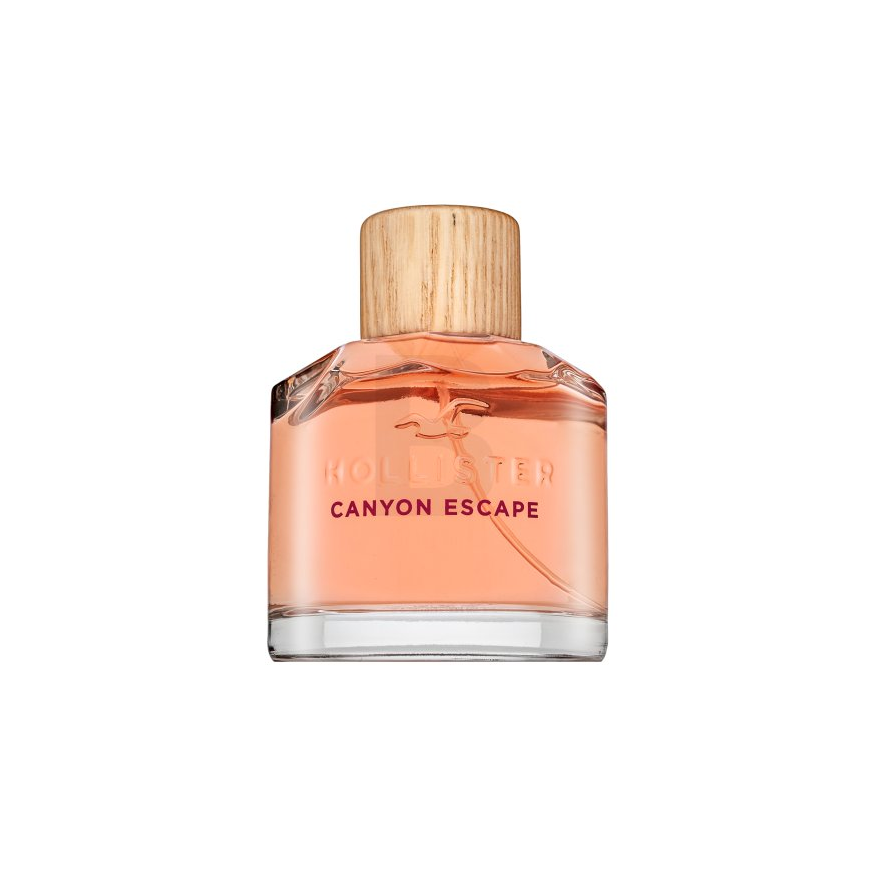 Perfume Hollister Canyon Escape For Her Perfume spray 100ml – 4