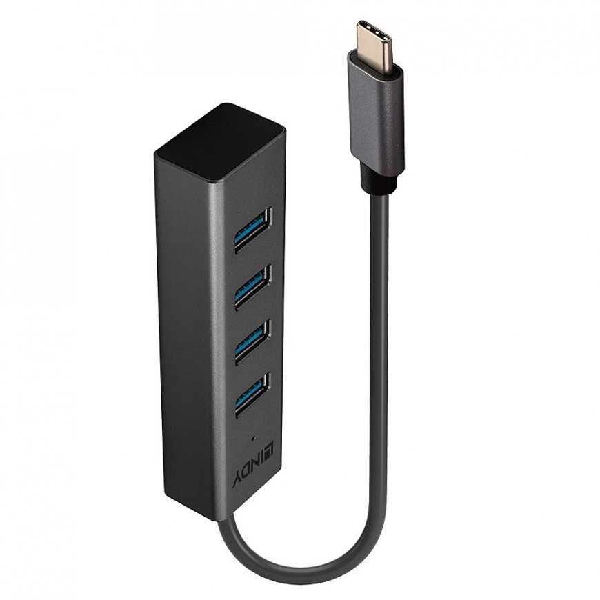 Lindy 43325 jaotur USB 3.2 Gen 1 (3.1 Gen 1) Type-C 5000 Mbit/s Hall