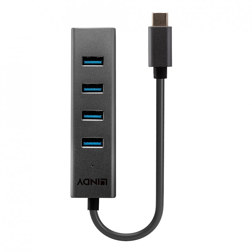 Lindy 43325 keskitin USB 3.2 Gen 1 (3.1 Gen 1) Type-C 5000 Mbit/s Harmaa – 2
