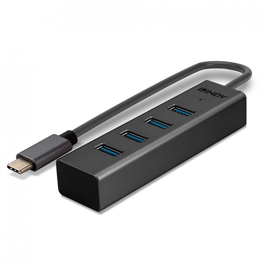 Lindy 43325 keskitin USB 3.2 Gen 1 (3.1 Gen 1) Type-C 5000 Mbit/s Harmaa – 5