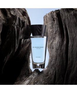 Burberry Touch for Men EDT M 100 ml Tester
