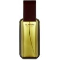 Men's perfume Antonio Puig EDT Quorum 100 ml Men's perfume Antonio Puig EDT Quorum 100 ml