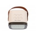 Bluetooth kõlar KARAOKE RGB 10W Bluetooth kõlar KARAOKE RGB 10W