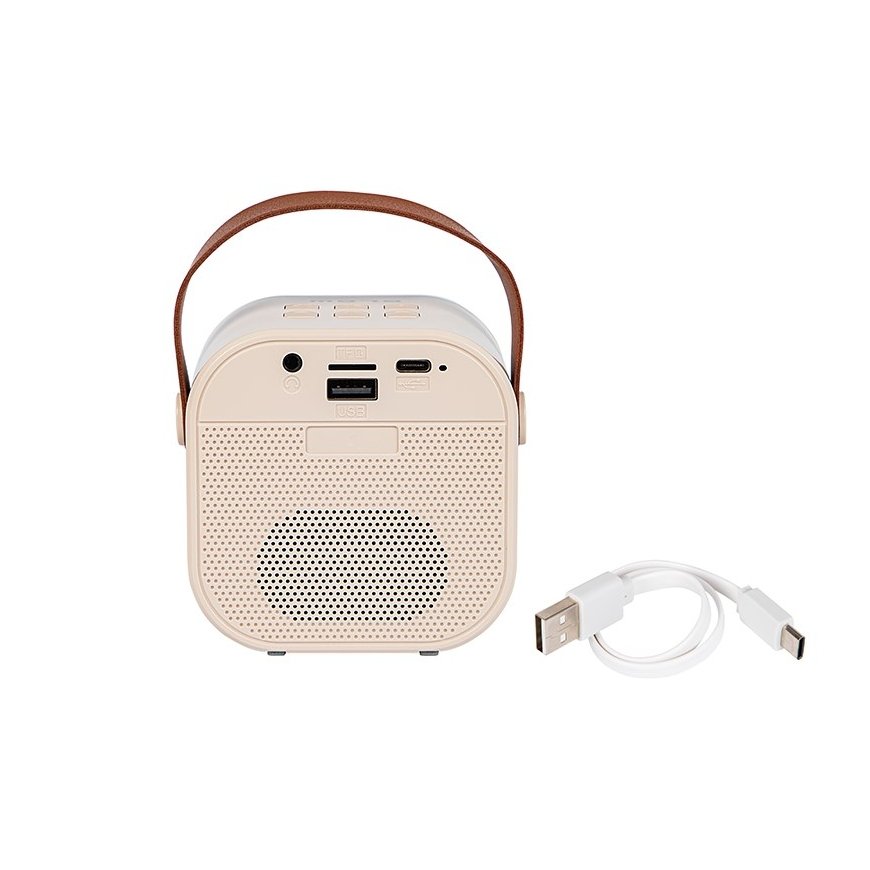 Bluetooth kõlar KARAOKE RGB 10W – 4