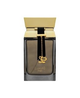 Rave Luxuré Man EDP M 100 ml