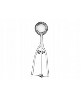 Dajar AMBITION Ice scoop/spoon Ivy 13 cm (96791)