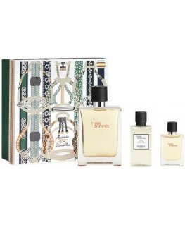Hermès Hermes Terre EDT Spray, 100 ml Sets