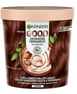 Garnier Good Permanent Color 4.15 Glacier Brown1 U