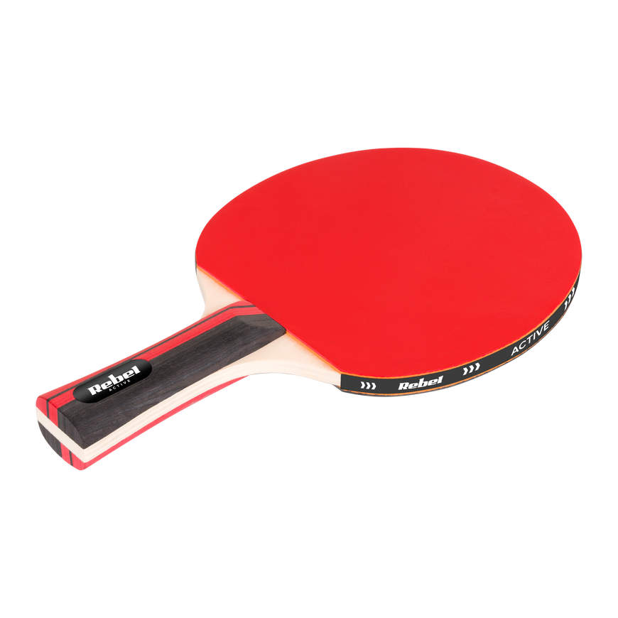 Set of table tennis rackets with net REBEL ACTIVE – 5