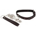 Orion 2492016 collar and leash Orion 2492016 collar and leash
