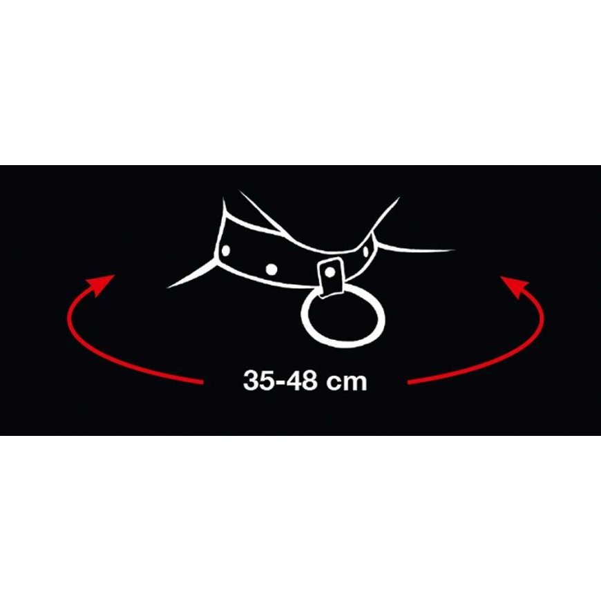 Orion 2492016 collar and leash – 5